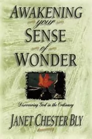 Awakening Your Sense of Wonder