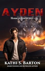 Book cover for "Ayden" by Kathi S Barton