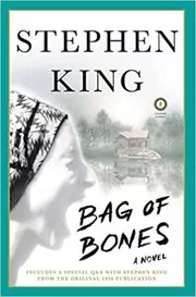 Book cover for "Bag of Bones"