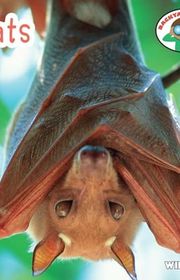 Book cover for "Bats"