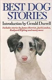 Best Dog Stories