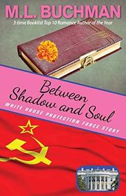Book cover for "Between Shadow and Soul" by ML Buchman