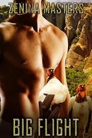 Book cover for "Big Flight" by Viola Grace