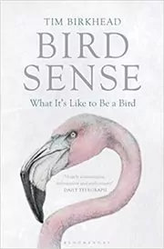 Book cover for "Bird Sense" by Tim Birkhead