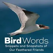 Bird Words