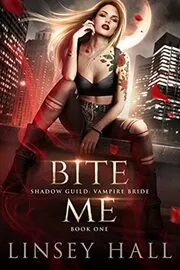 Shadow Guild book cover