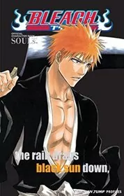 Book cover for "Bleach SOULs. Official Character Book" by Tite Kubo