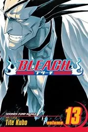 Book cover for "Bleach, Volume 13" by Tite Kubo
