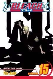 Book cover for "Bleach, Volume 15" by Tite Kubo