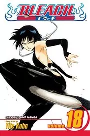 Book cover for "Bleach, Volume 18" by Tite Kubo