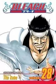 Book cover for "Bleach, Volume 28" by Tite Kubo