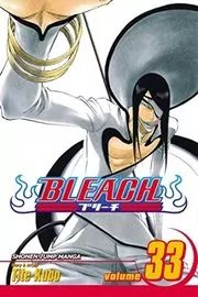 Book cover for "Bleach, Volume 33" by Tite Kubo