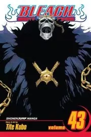 Book cover for "Bleach, Volume 43" by Tite Kubo