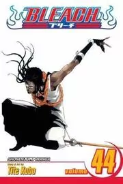 Book cover for "Bleach, Volume 44" by Tite Kubo