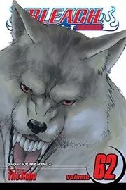 Book cover for "Bleach, Volume 62" by Tite Kubo