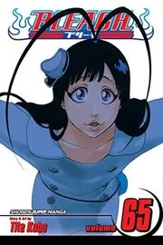 Book cover for "Bleach, Volume 65" by Tite Kubo
