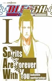 Book cover for "Bleach: Spirits Are Forever With You" by Tite Kubo