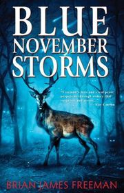 Book cover for "Blue November Storms" by Brian James Freeman