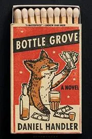 Daniel Handler book cover