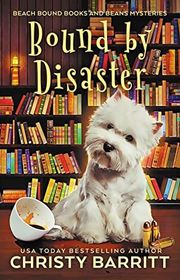 Book cover for "Bound by Disaster" by Christy Barritt