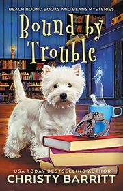 Book cover for "Bound by Trouble" by Christy Barritt