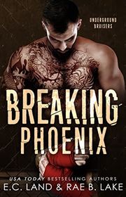 Book cover for "Breaking Phoenix" by Rae B Lake