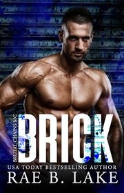 Rae B Lake book cover