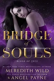 Meredith Wild book cover