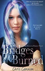 Book cover for "Bridges Burned"