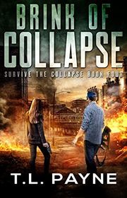 Survive the Collapse book cover