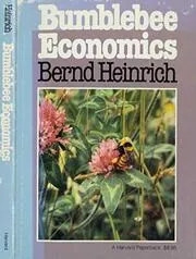 Bumblebee Economics