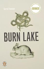 Book cover for "Burn Lake" by Carrie Fountain