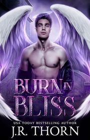 JR Thorn book cover