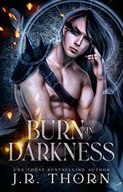 Book cover for "Burn in Darkness" by JR Thorn