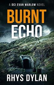 Book cover for "Burnt Echo"