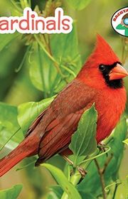 Book cover for "Cardinals"