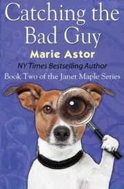 Catching the Bad Guy