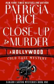 Patricia Rice book cover
