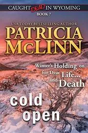 Book cover for "Cold Open" by Patricia McLinn
