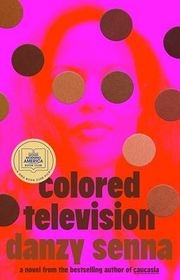 Danzy Senna book cover