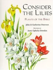 Consider the Lilies