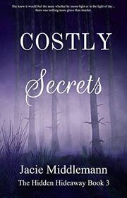 Book cover for "Costly Secrets - Book 3" by Jacie Middlemann