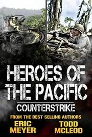 Book cover for "Counterstrike" by Eric Meyer