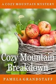 Cozy Mountain Breakdown