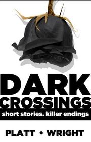 Book cover for "Dark Crossings Volume 1" by Sean Platt