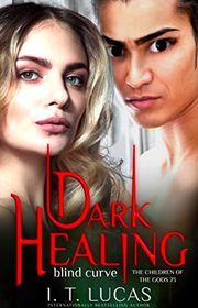 Book cover for "Dark Healing Blind Curve" by IT Lucas