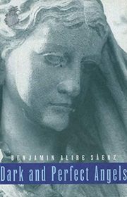 Book cover for "Dark and Perfect Angels" by Benjamin Alire Saenz