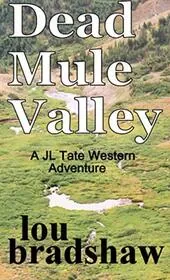 Book cover for "Dead Mule Valley" by Lou Bradshaw