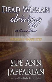 Sue Ann Jaffarian book cover