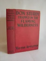 Don Sturdy Trapped in the Flaming Wilderness / Unearthing Secrets in Central Asia